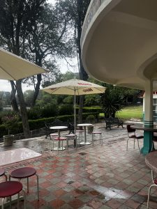 nieves roxy