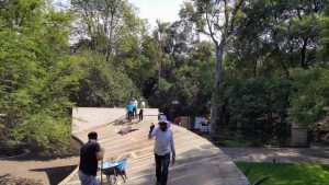 IMG-20250806-WA0021