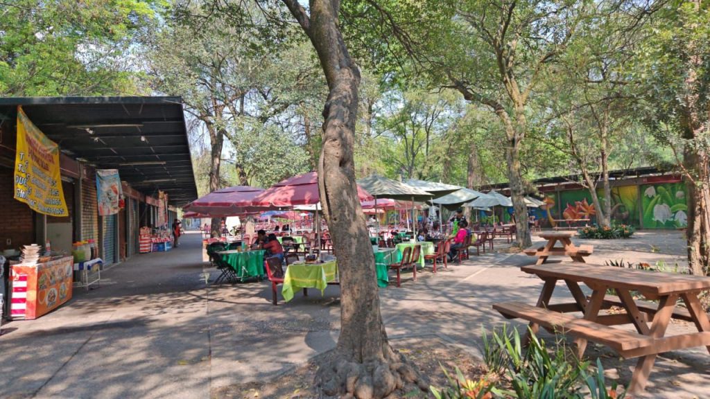 Rehabilitación del kiosco A1