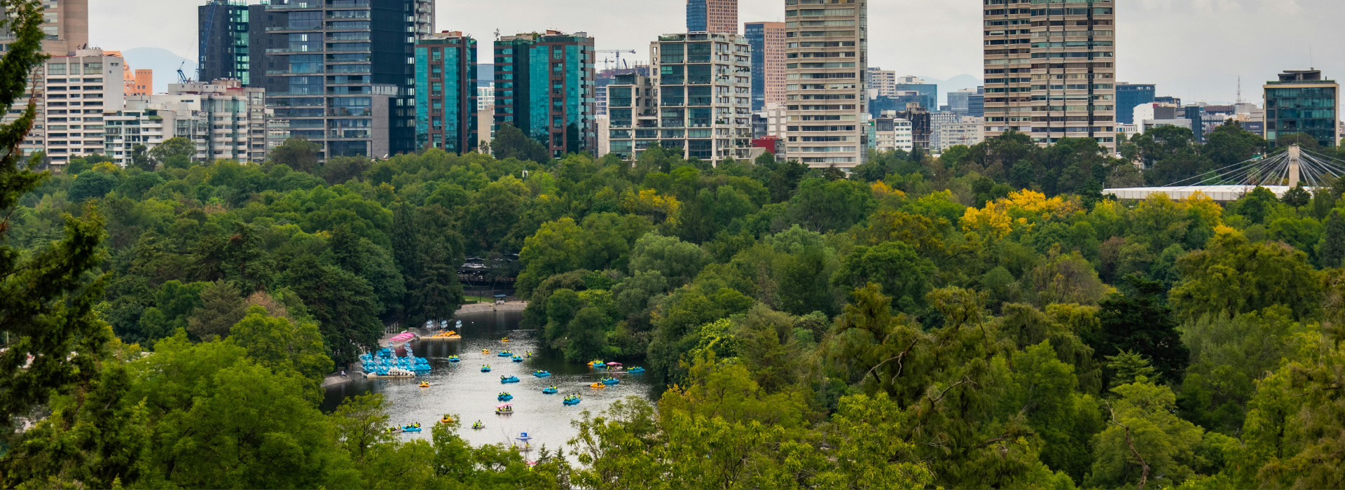 Bosque de chapultepec