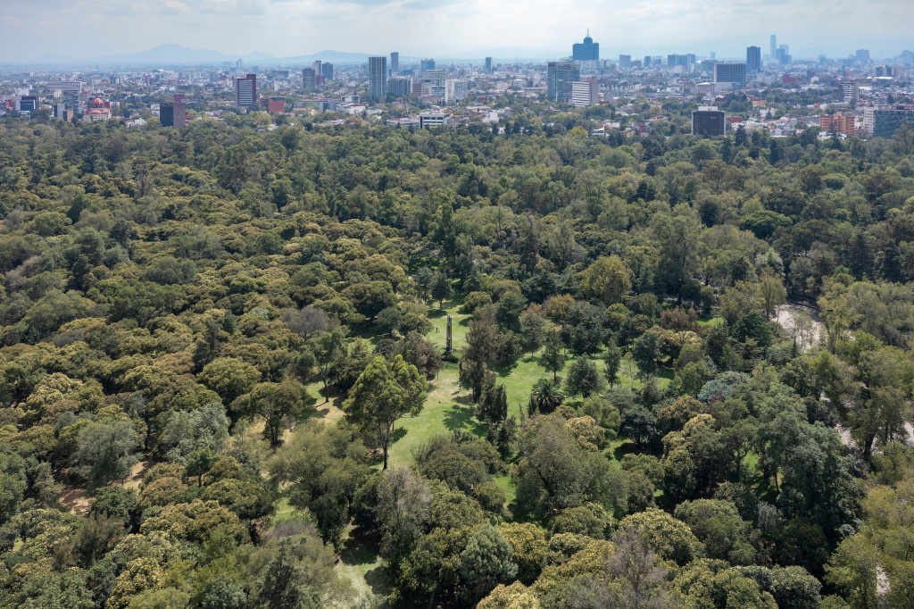 El Bosque de Chapultepec vuelve a brillar en el mundo 