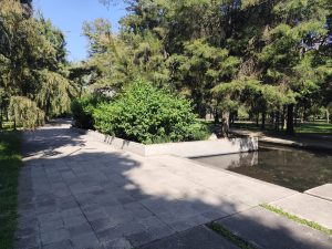 WhatsApp Image 2025-11-05 at 6.25