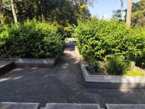 WhatsApp Image 2025-11-05 at 6.25