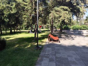 WhatsApp Image 2025-11-05 at 6.25