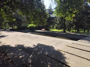 WhatsApp Image 2025-11-05 at 6.25