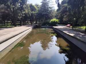 WhatsApp Image 2025-11-05 at 6.25