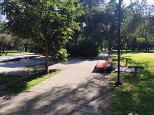 WhatsApp Image 2025-11-05 at 6.25