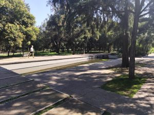 WhatsApp Image 2025-11-05 at 6.25