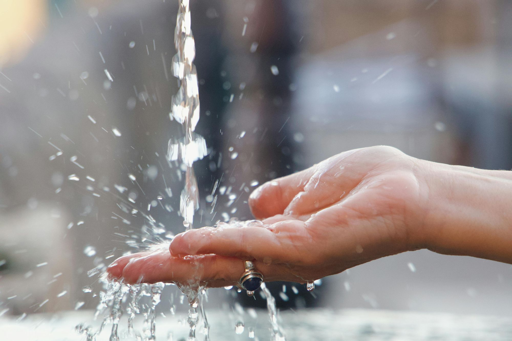 AQÜIFERA, Festival del Bosque 2026, se llevará a cabo del 2 al 5 de abril en el Bosque de Chapultepec.