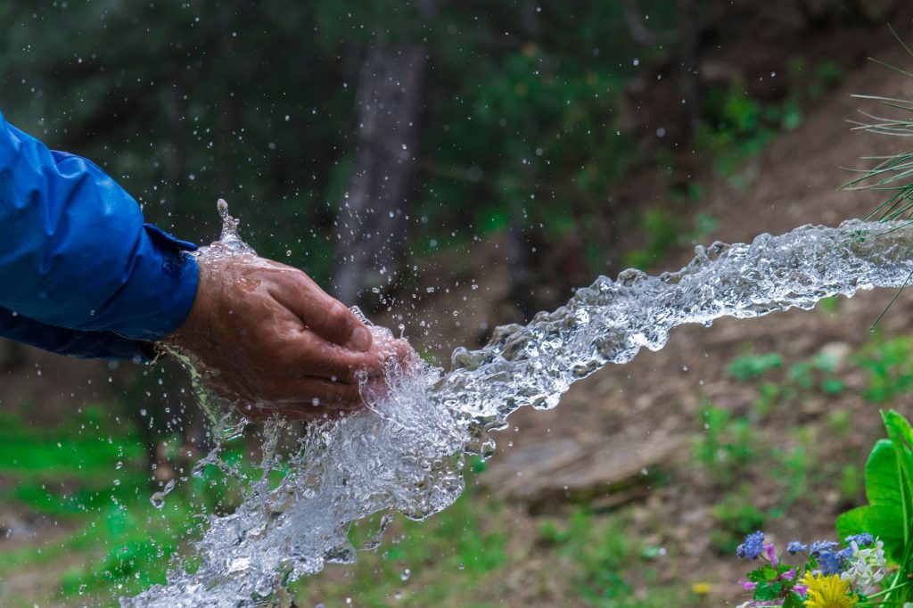 Acuifera festival del bosque 2026 