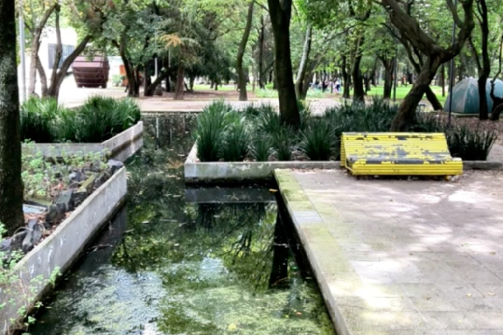 antes de la rehabilitación de los nuevos humedales de chapultepec