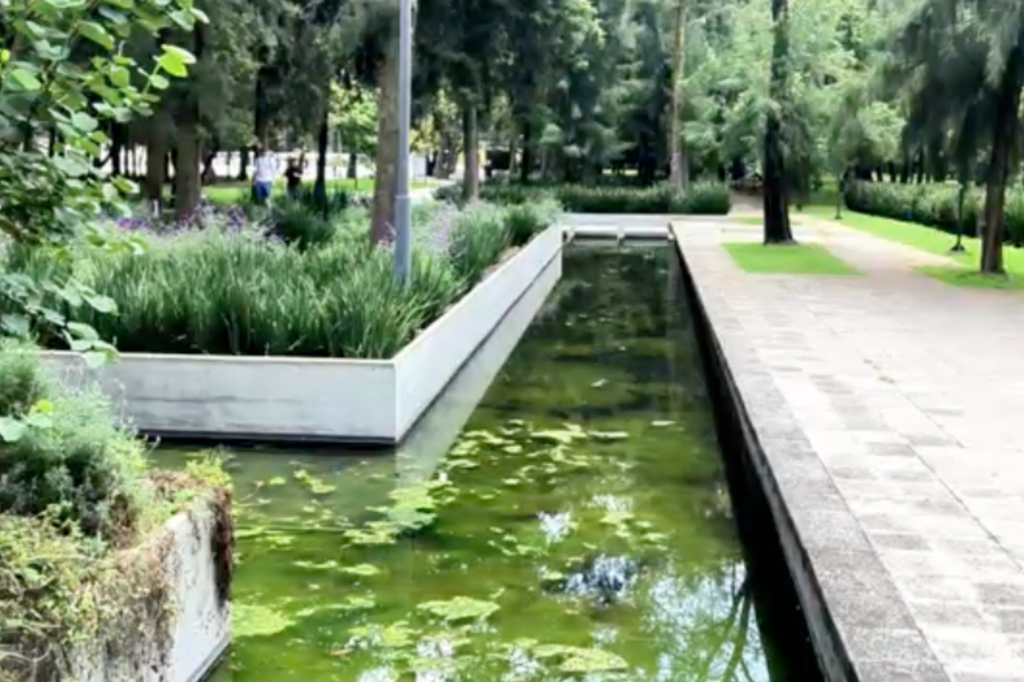 humedales de chapultepec antes de la rehabilitación