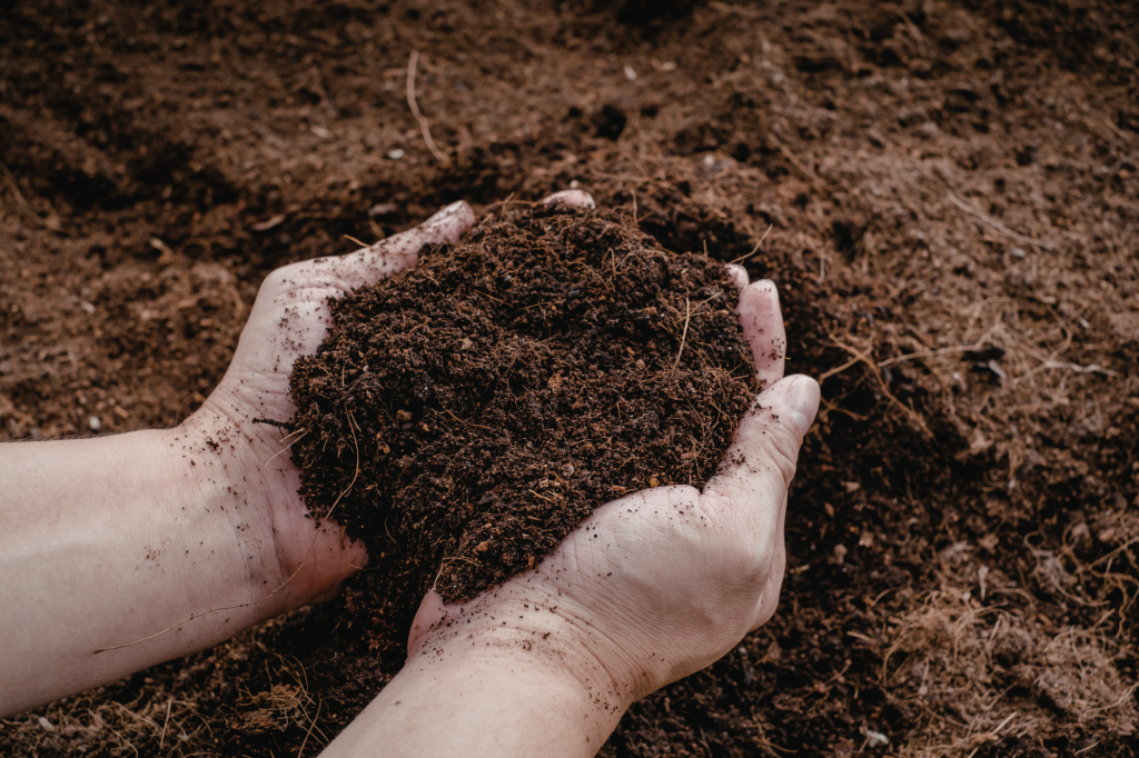 Conservación del suelo mulch