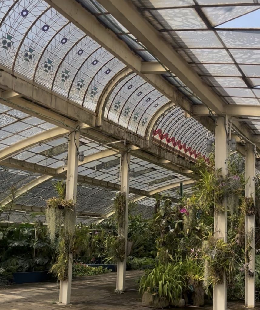 orquidiario del jardin botanico de chapultepec
