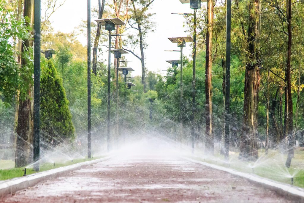 Pista El Sope: 7 Tips Increíbles para Empezar a Correr en Chapultepec 1 Pista El Sope Chapultepec