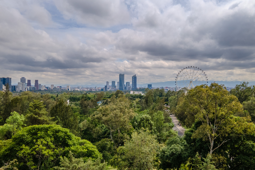 Equinoccio: qué es y qué pasa durante este fenómeno 3 El equinoccio en el bosque de chapultepec