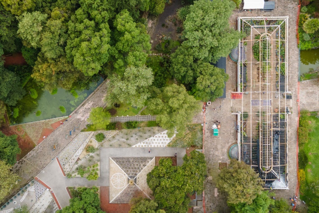 ¡Prepárate para la Carrera del Bosque de Chapultepec 2026! Corre de noche por una gran causa 2 Carrera del Bosque de Chapultepec 2026 para rehabilitar el orquideario.
